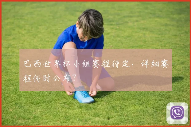 巴西世界杯小组赛程待定,详细赛程何时公布?
